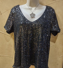 Load image into Gallery viewer, Z Supply ZT234254 Sequin Top