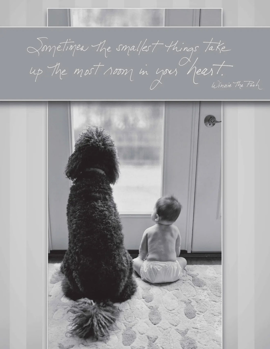 Bonair Daydreams 488NB Sometimes The Smallest