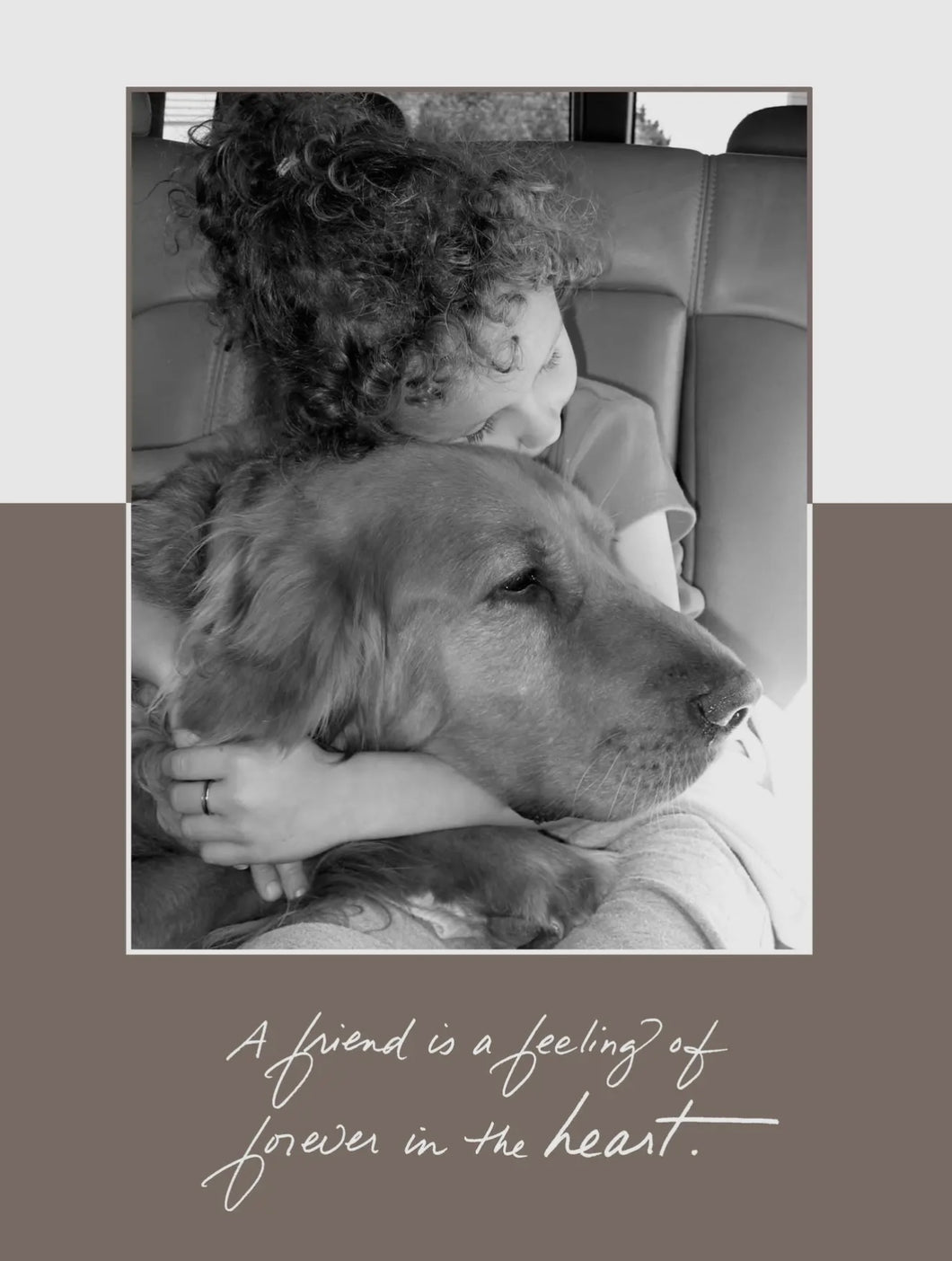 Bonair Daydreams 288F A Friend is A Feeling