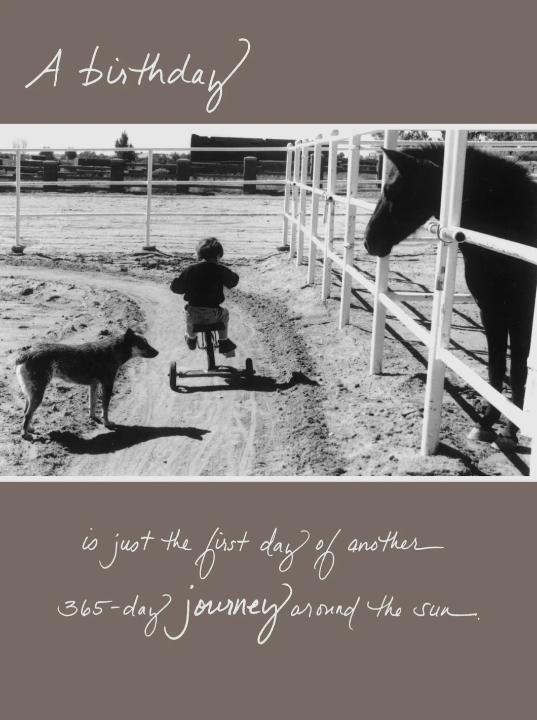 Bonair Daydreams 286B A Birthday Is Just