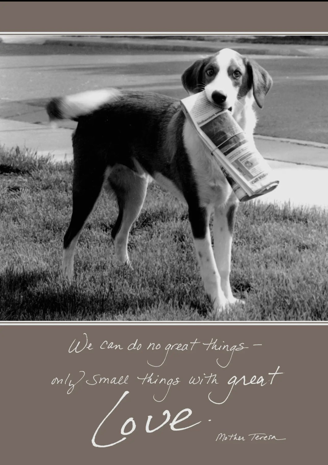 Bonair Daydreams 260T we Can Do No Great Things