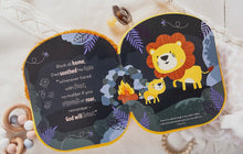 Load image into Gallery viewer, BroadStreet Publishing 68635 Squish and Snugg Lion Book

