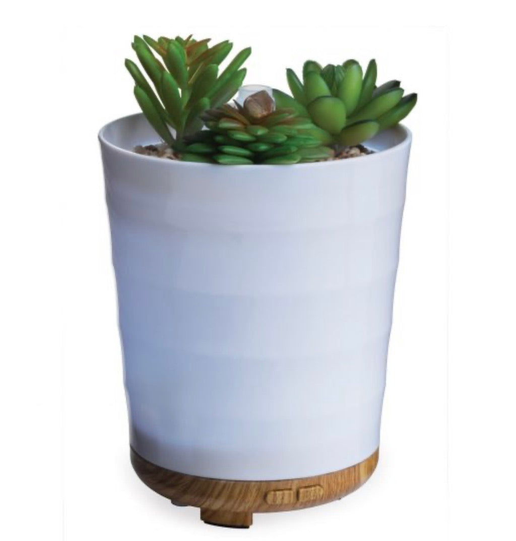 Airome BDPSC Potted Succulent Diffuser