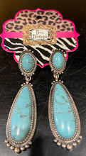 Load image into Gallery viewer, Diva SWT4200 Earrings
